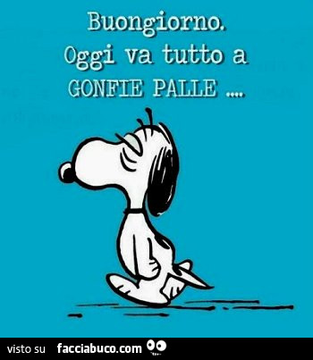 Buongiorno. Oggi va tutto a gonfie palle
