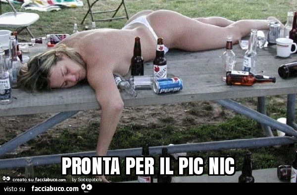 Pronta per il pic nic