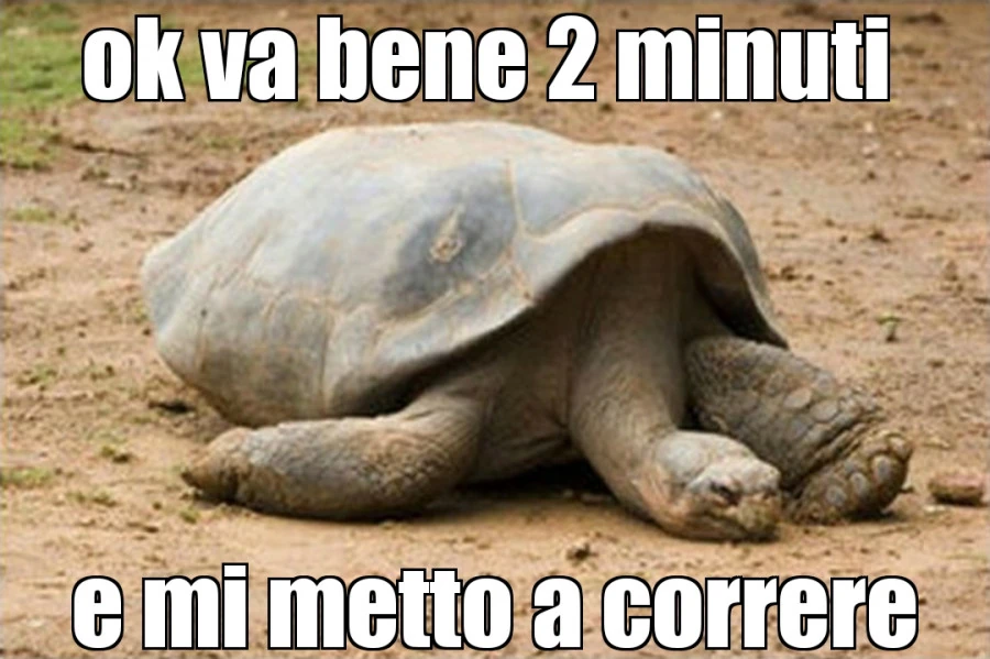 Correre