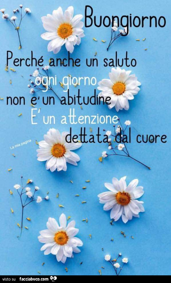 Buongiorno