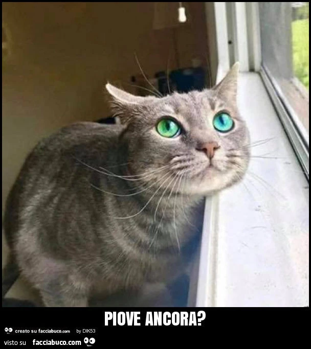 Piove ancora?