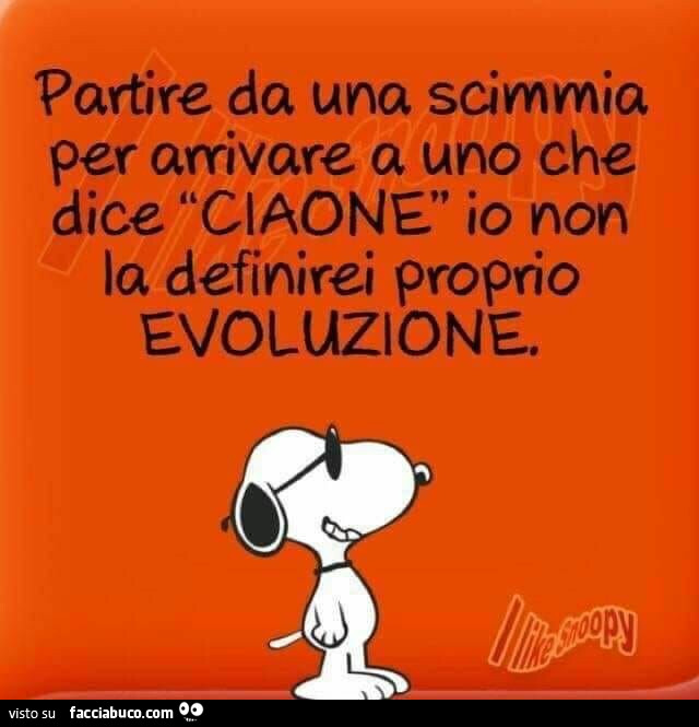 Partire da una scimmia per arrivare a uno che dice ciaone io non la definirei proprio evoluzione