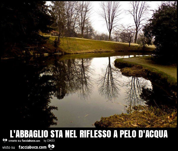 L'abbaglio Sta Nel Riflesso A Pelo D'acqua - Facciabuco.com