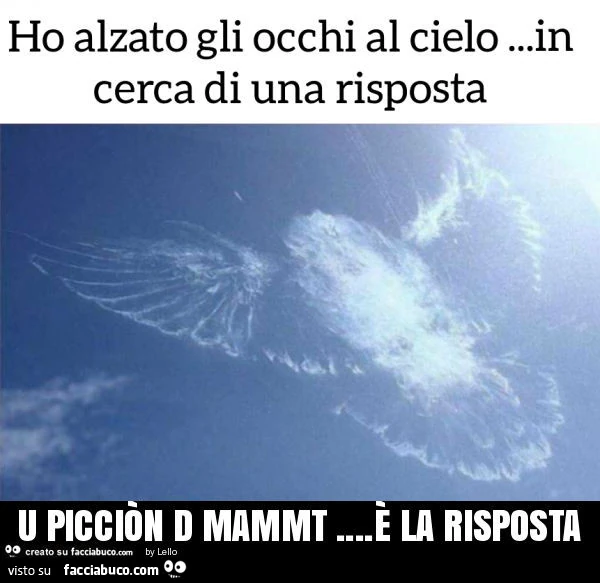 U picciòn d mammt&hellip; è la risposta