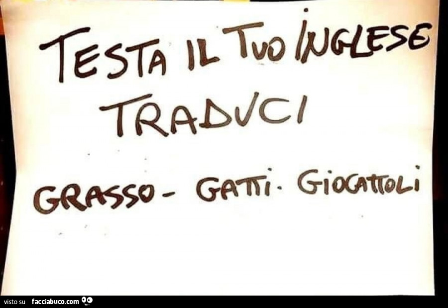 Testa il tuo inglese. Traduci grasso gatti giocattoli