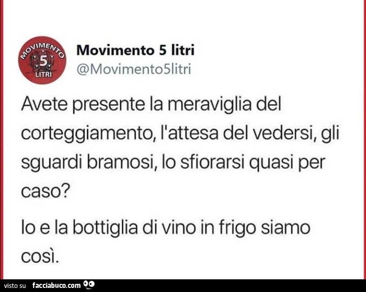 Avete presente la meraviglia del corteggiamento, l'attesa del vedersi, gli sguardi bramosi, lo sfiorarsi quasi per caso? Io e la bottiglia di vino in frigo siamo così