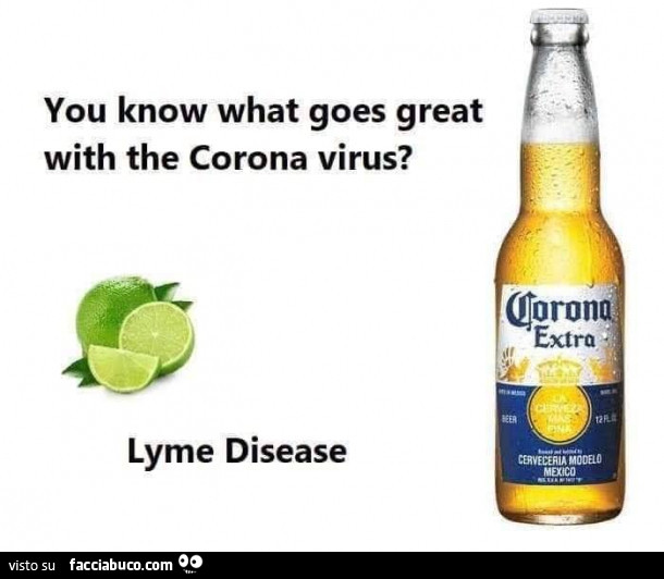 You know what goes great with the corona virus? Lyme Disease