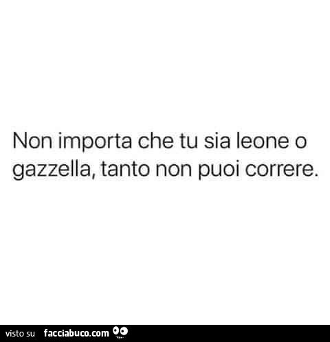 Non importa che tu sia leone o gazzella, tanto non puoi correre