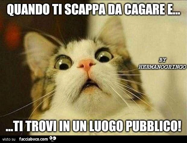 Quando ti scappa da cagare e ti trovi in un luogo pubblico