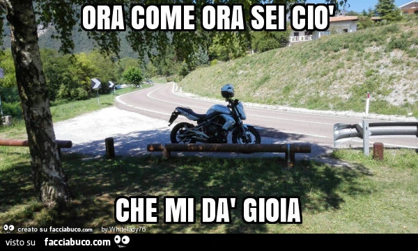 Ora come ora sei ciò che mi dà gioia