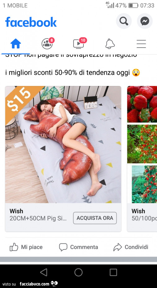 Vaccata