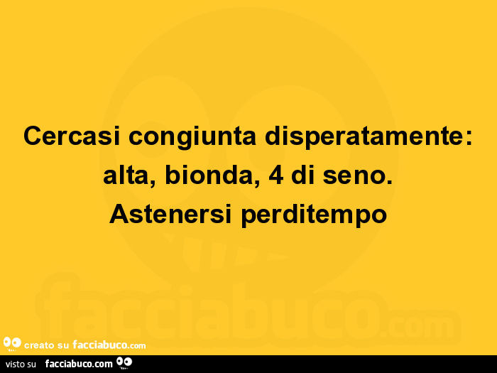Cercasi congiunta disperatamente: alta, bionda, 4 di seno. Astenersi perditempo