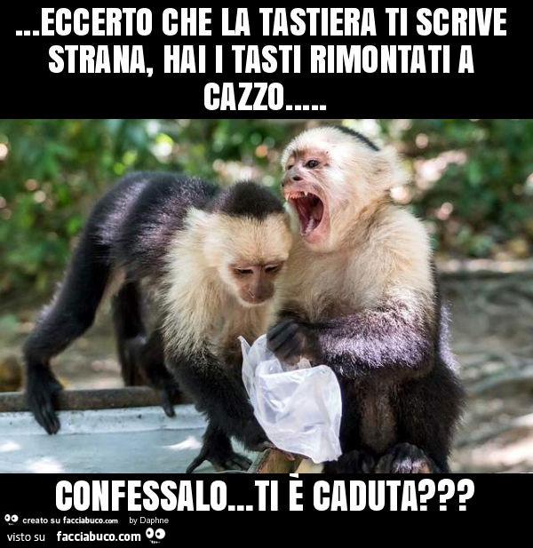 Eccerto che la tastiera ti scrive strana, hai i tasti rimontati a cazzo… confessalo… ti è caduta?