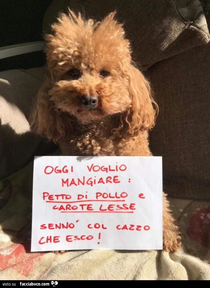 Cani