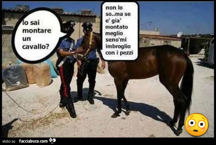 Fai da te