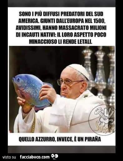 Vaccata