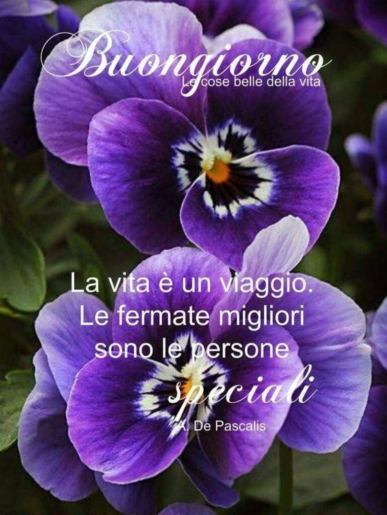 Buona Domenica Splendida Soleggiata E Per Tutti Speciale Facciabuco Com