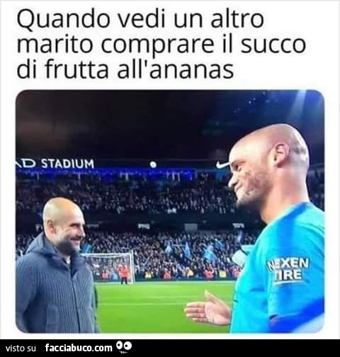 meme di vita da delinquente espresso di ananas