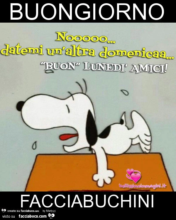 Buongiorno facciabuchini