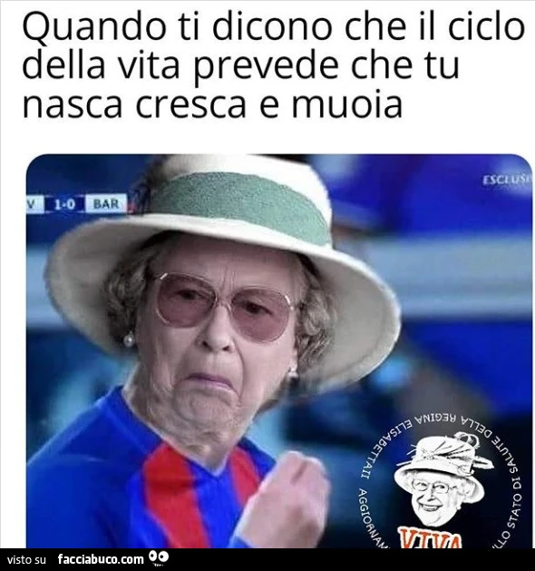 Vaccata