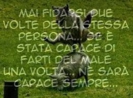 Il lupo perde il pelo ma non il vizio