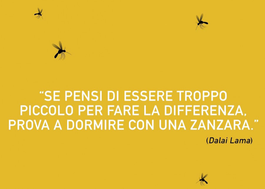 Se pensi di essere troppo piccolo per fare la differenza, prova a dormire con una zanzara. Dalai Lama