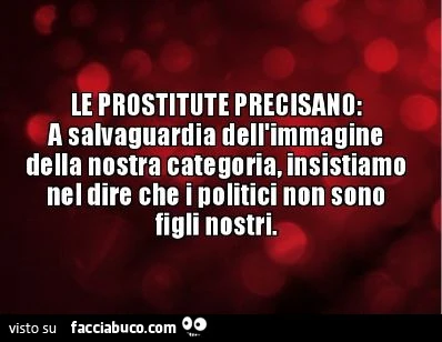 Le prostitute precisano: a salvaguardia dell'immagine della nostra categoria, insistiamo nel dire che i politici non sono figli nostri