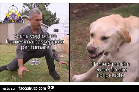 Io che voglio fare ennesima passeggiata per fumare il mio cane che vuole ficcare il pelyche