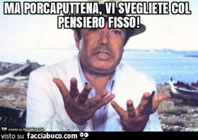 Vaccata