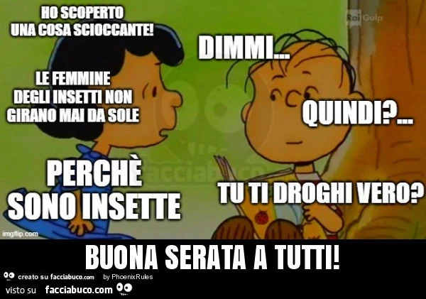 Buona serata a tutti