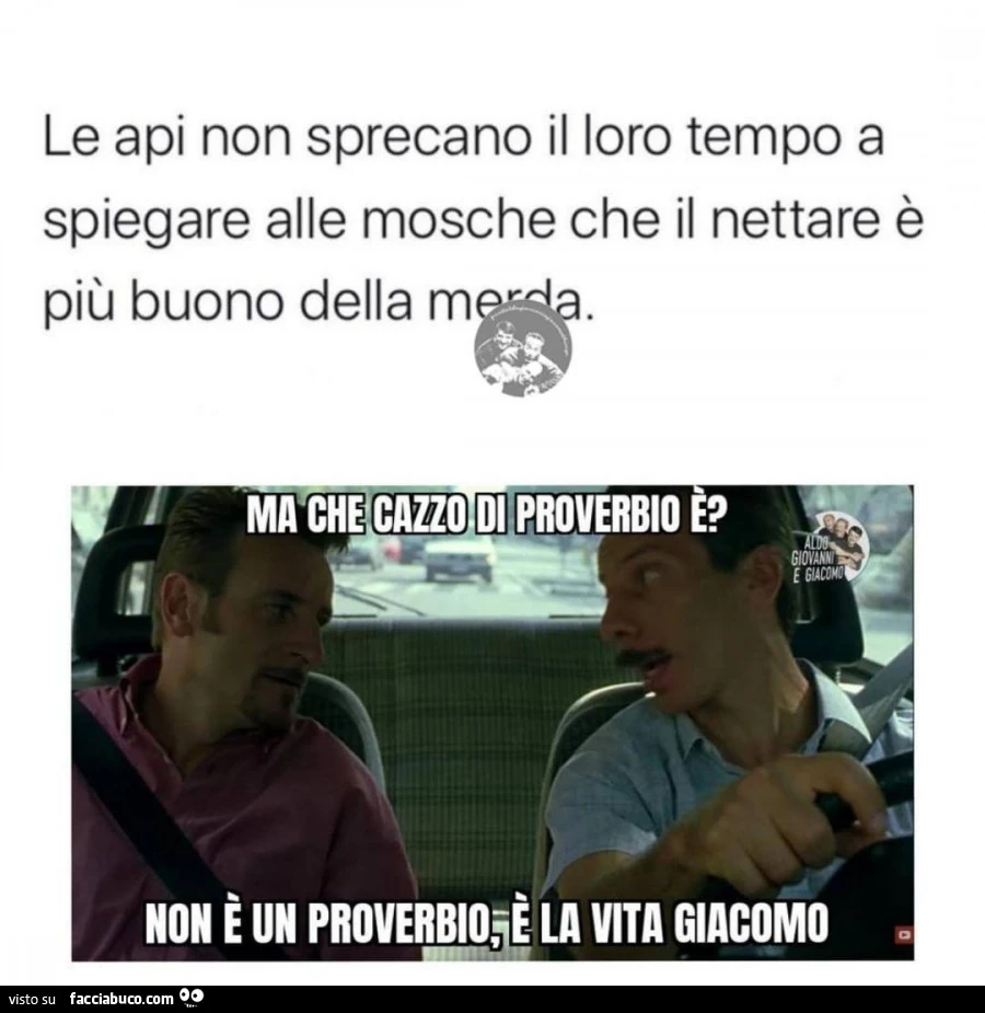 Vaccata