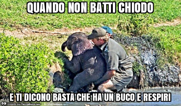 Quando non batti chiodo e ti dicono basta che ha un buco e respiri