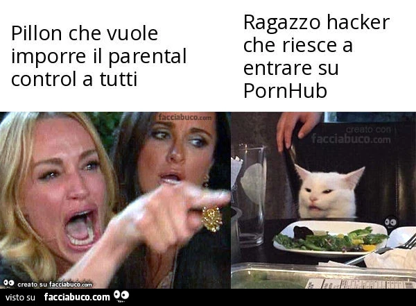 Pillon che vuole imporre il parental control a tutti. Ragazzo hacker che riesce a entrare su pornhub