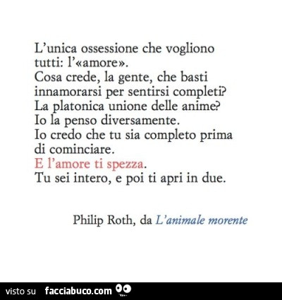 L'unica ossessione che vogliono tutti: l'amore