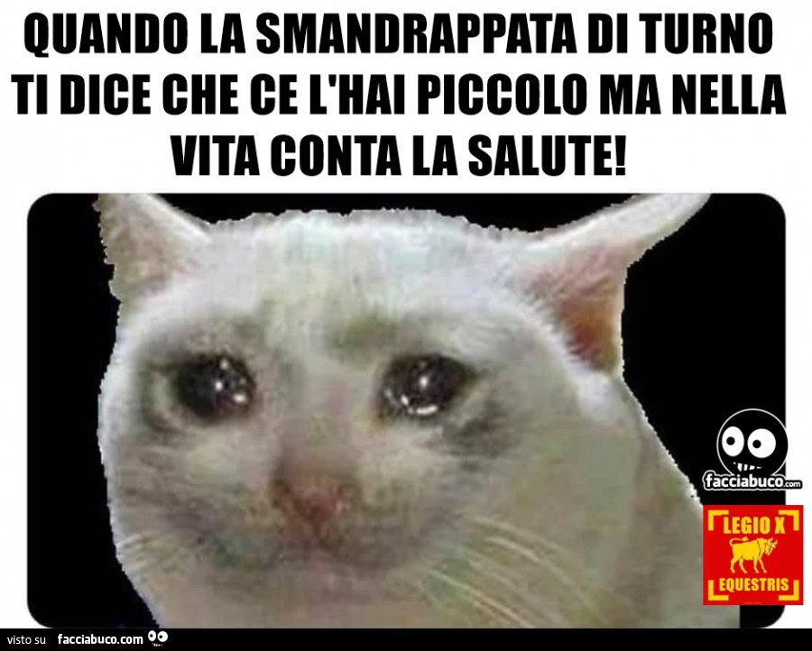 Quando la smandrappata di turno ti dice che ce l'hai piccolo ma nella vita conta la salute