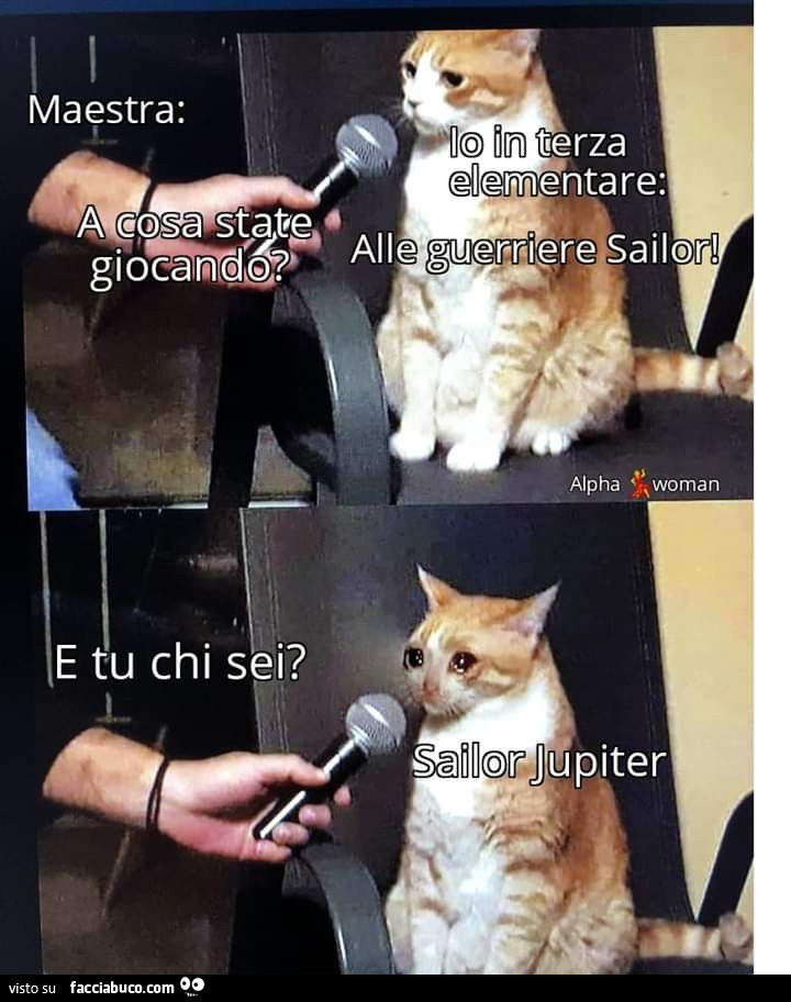 Vaccata