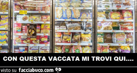 Vaccata