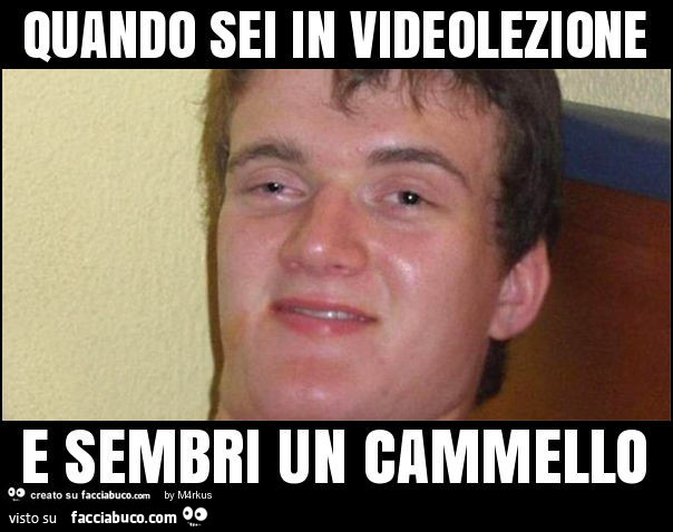 Quando sei in videolezione e sembri un cammello