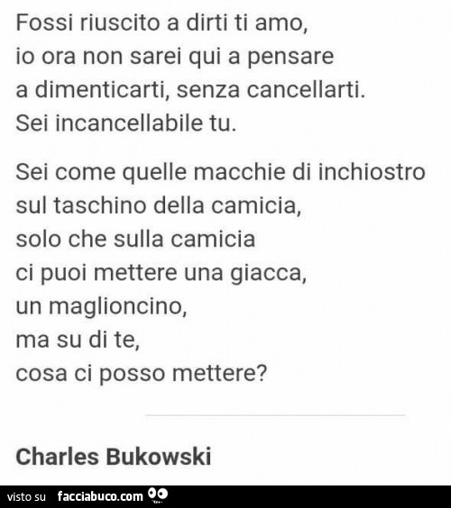 Fossi riuscito a dirti ti amo, io ora non sarei qui a pensare a dimenticarti, senza cancellarti. Sei incancellabile tu. Sei come quelle macchie di inchiostro sul taschino della camicia, solo che sulla camicia ci puoi mettere una giacca