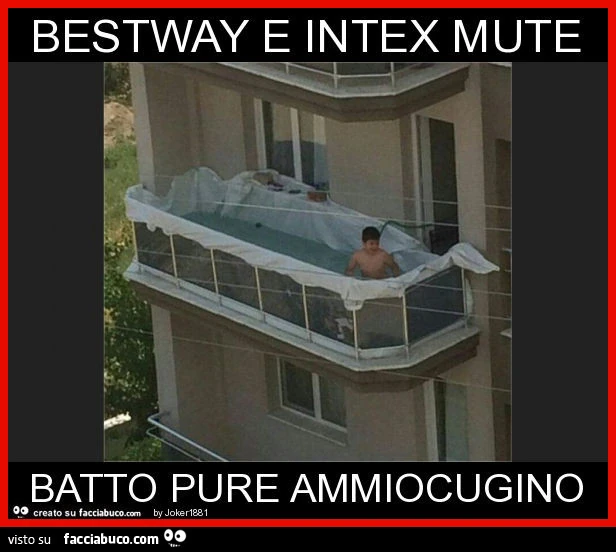 Bestway e intex mute batto pure ammiocugino