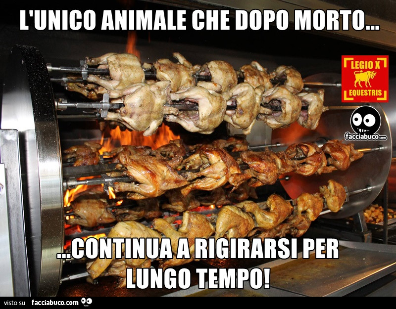 L'unico animale che dopo morto continua a rigirarsi per lungo tempo