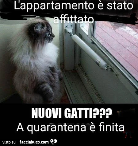 Nuovi flash mob
