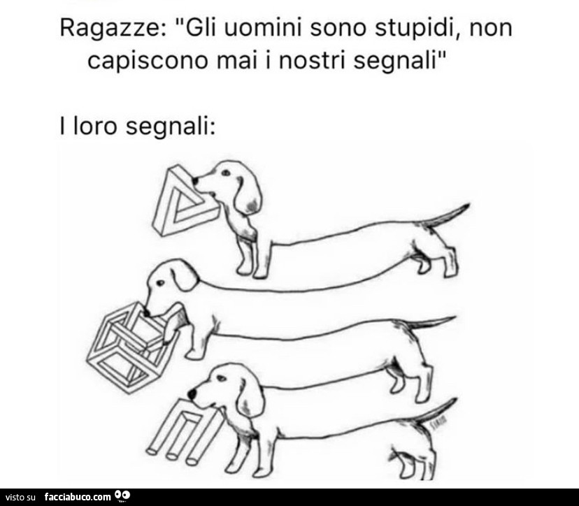 Ragazze: gli uomini sono stupidi, non capiscono mai i nostri segnali. I loro segnali