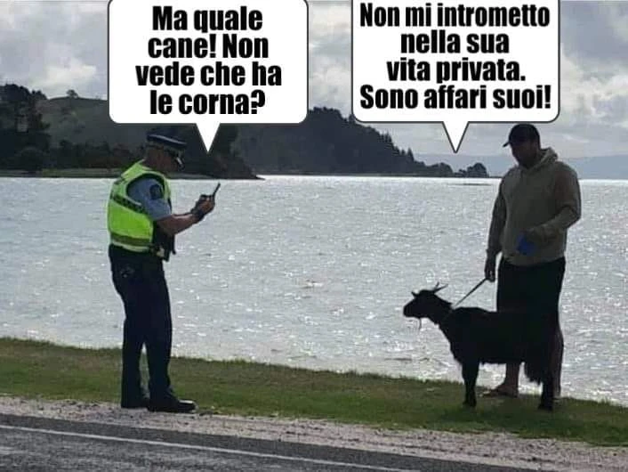 Autocertificazione