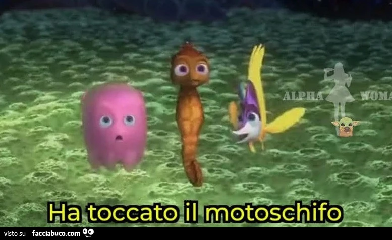 Vaccata