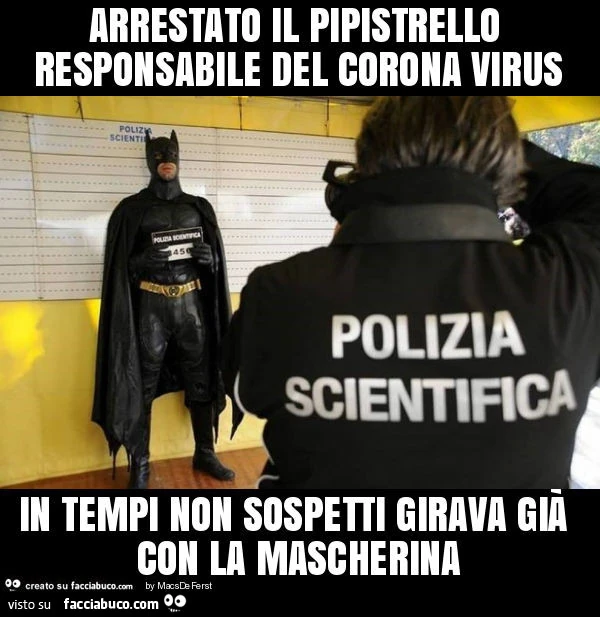 Arrestato il pipistrello responsabile del corona virus in tempi non sospetti girava già con la mascherina