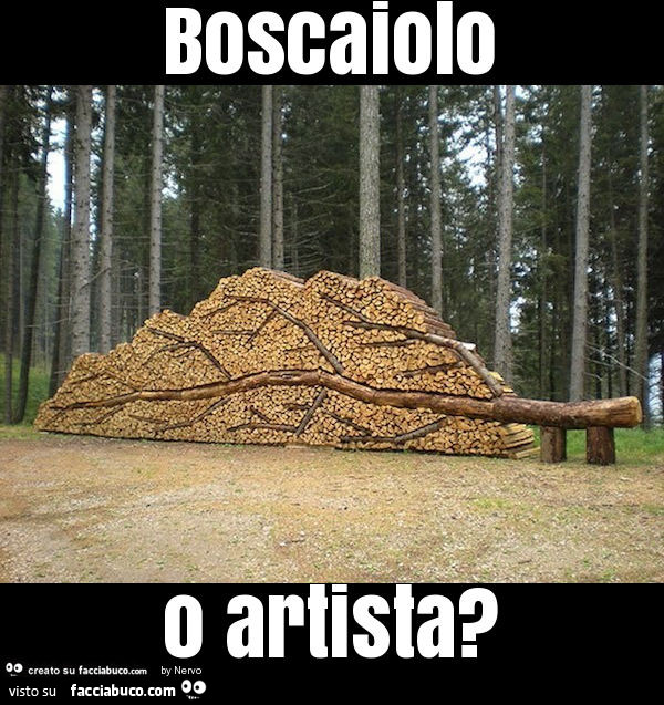 Boscaiolo o artista?