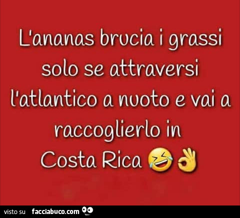 L'ananas brucia i grassi se attraversi l'atlantico a nuoto e vai a raccoglierlo in costa rica