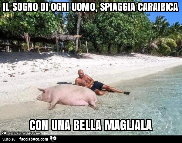 Il sogno di ogni uomo, spiaggia caraibica con una bella magliala