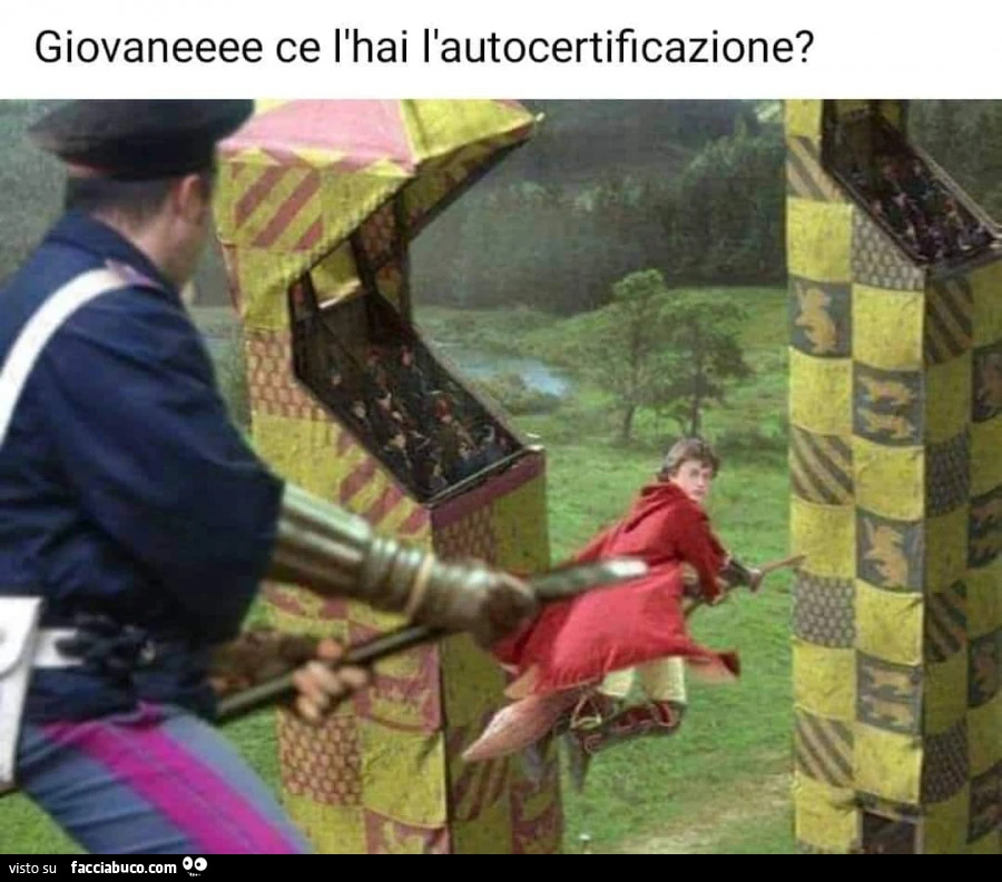 Vaccata